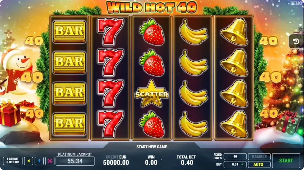 Wild hot 40 rozgrywka